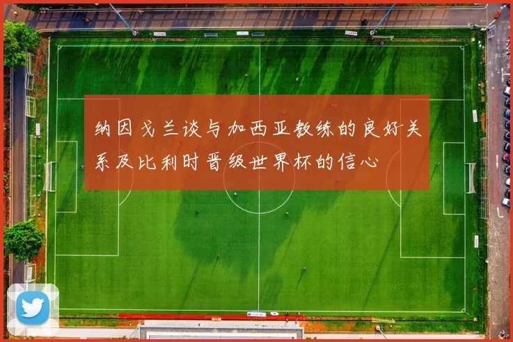 纳因戈兰谈与加西亚教练的良好关系及比利时晋级世界杯的信心